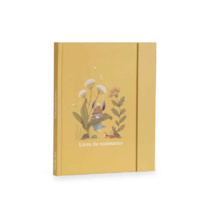 LIVRE DE NAISSANCE - TROIS PETITS LAPINS