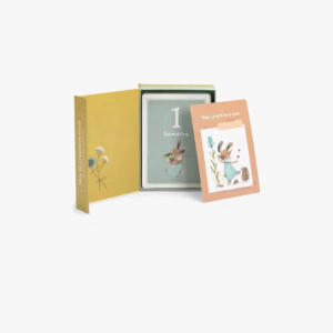 CARTES MES 12 PREMIERS MOIS - TROIS PETITS LAPINS